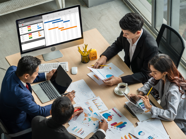IT Project Services